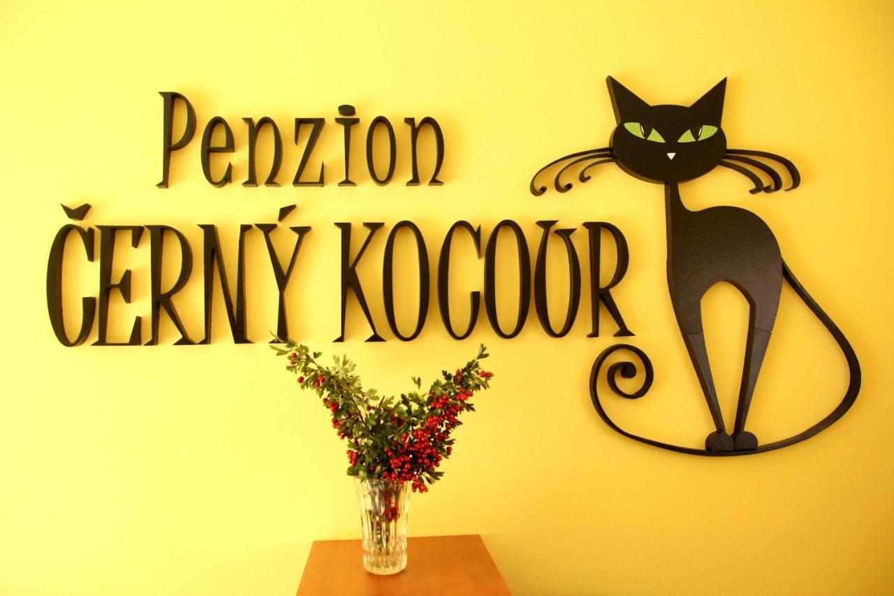 Cerny Kocour Apart Hotel Sarovy Exterior foto